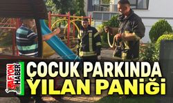 Afyon'da çocuk parkında yılan paniği