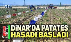 Dinar'da patates hasadı başladı