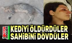 Kediyi öldürdüler, sahibini darp ettiler!..