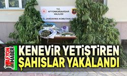 Evlerinde kenevir yetiştiren şahıslar yakalandı