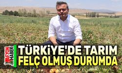 Faruk Duha Erhan: Türkiye'de tarım felç olmuş durumda