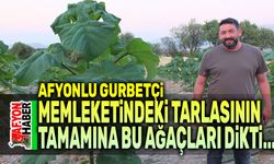 Afyonlu Gurbetçi, memleketindeki tarlasının hepsine bu ağaçları dikti!..