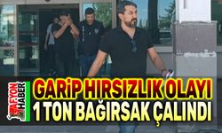 Afyon'da 1 ton bağırsak çalındı