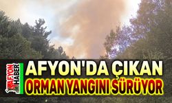 Afyon'da çıkan orman yangını sürüyor