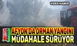 Afyon'da orman yangını, müdahale sürüyor