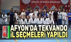 Afyon'da tekvando il seçmeleri yapıldı