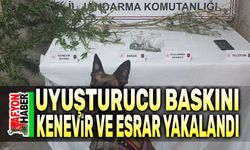 Afyon'da uyuşturucu baskını, kenevir ve esrar ele geçirildi