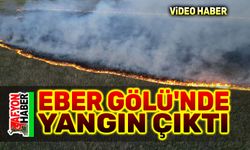 Eber Gölü'nde yangın çıktı