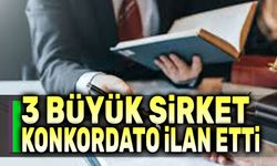 Üç büyük şirket daha konkordato ilan etti