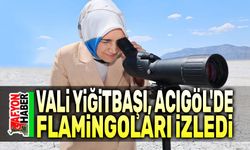 Vali Yiğitbaşı, Acıgöl'de flamingoları izledi