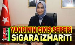 Afyon'da yangınla ilgili 1 kişi gözaltına alındı