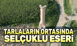 Afyonkarahisar’da tarlanın ortasında bir Selçuklu eseri