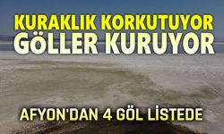 Tehlike çok büyük, göller kuruyor!..