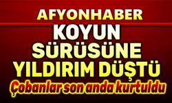 Yıldırım koyun sürüsüne düştü