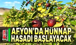 Afyon'da hünnap hasadı başlayacak