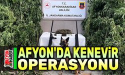 Afyon'da kenevir operasyonu