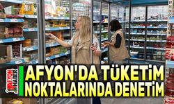 Afyon'da tüketim noktalarında denetim