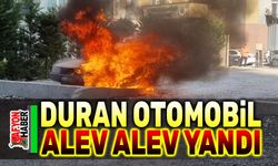 Duran otomobil alev alev yandı