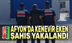 Afyon'da kenevir eken şahıs yakalandı