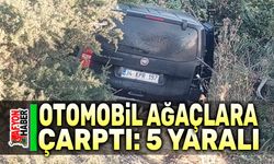 Otomobil ağaçlara çarptı, 5 kişi yaralandı