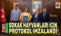 Sokak Hayvanları için protokol imzalandı