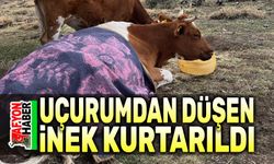 Uçurumdan düşen inek kurtarıldı