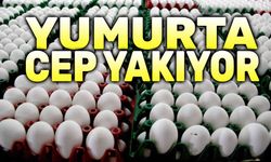 Yumurta fiyatlarında artış devam ediyor