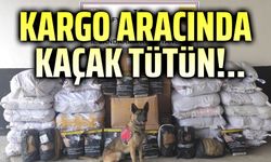 Kargo aracında kaçak tütün!..