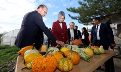 Kadın cezaevinde farklı bir proje!..