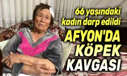 Afyon'da köpek kavgası!..