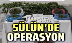 Uyuşturucu ve tarihi eser operasyonu