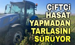 Çiftçi, hasat yapmadan tarlasını sürüyor!..