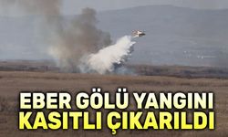 Eber Gölündeki yangın kasıtlı çıkarıldı!..