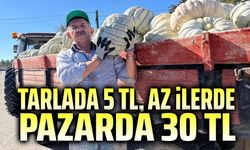 Tarlada 5, az ilerdeki pazarda 30 Lira!..