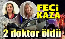 Feci kazada 2 doktor vefat etti