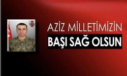 Milletimizin başı soğulsun