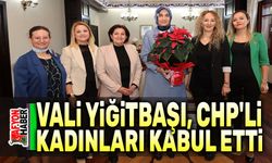 Vali Yiğitbaşı, CHP'li kadınları kabul etti