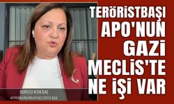 Burcu Köksal: Teröristbaşı Apo'nun Gazi Meclis'te ne işi var?