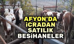 Afyon'da İcradan satılık besihaneler