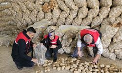 Afyon'dan 300 ton patates ihracatı yapıldı