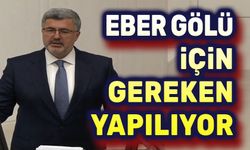 Ali Özkaya, Eber Gölü hakkında konuştu