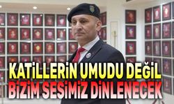 Katillerin umudu değil, bizim sesimiz dinlenecek