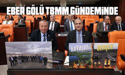 Eber Gölü, TBMM gündeminde