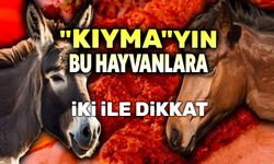 Son listede at eşek eti de var!..