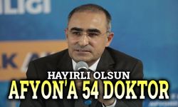 Afyon'a 54 doktor atandı