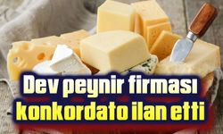 Dev peynir firması konkordato ilan etti