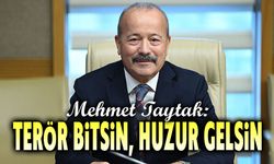 Mehmet Taytak: Terör bitsin, huzur gelsin