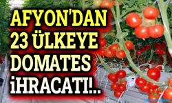 Afyonkarahisar’dan 23 ülkeye domates ihracatı!..