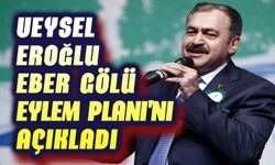 Veysel Eroğlu, Eber Gölü için harekete geçti