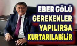 Yalçın Görgöz: Eber Gölü kurtarılabilir